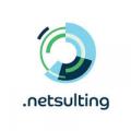 Agence Marketing Internet Netsulting
